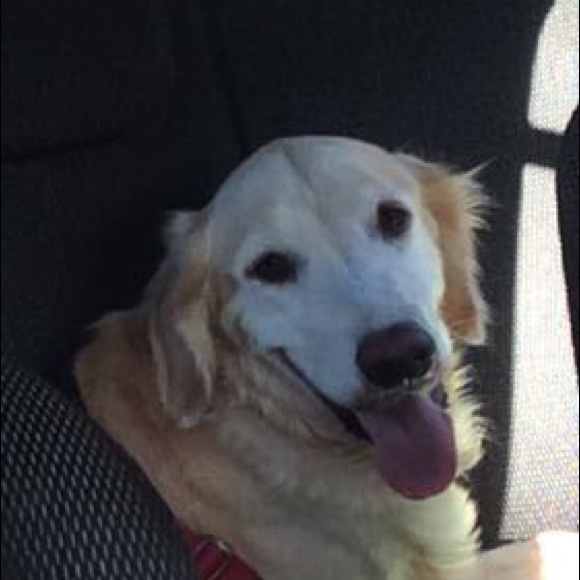 Meet your Posher, Yoo - Picture 1 of 1